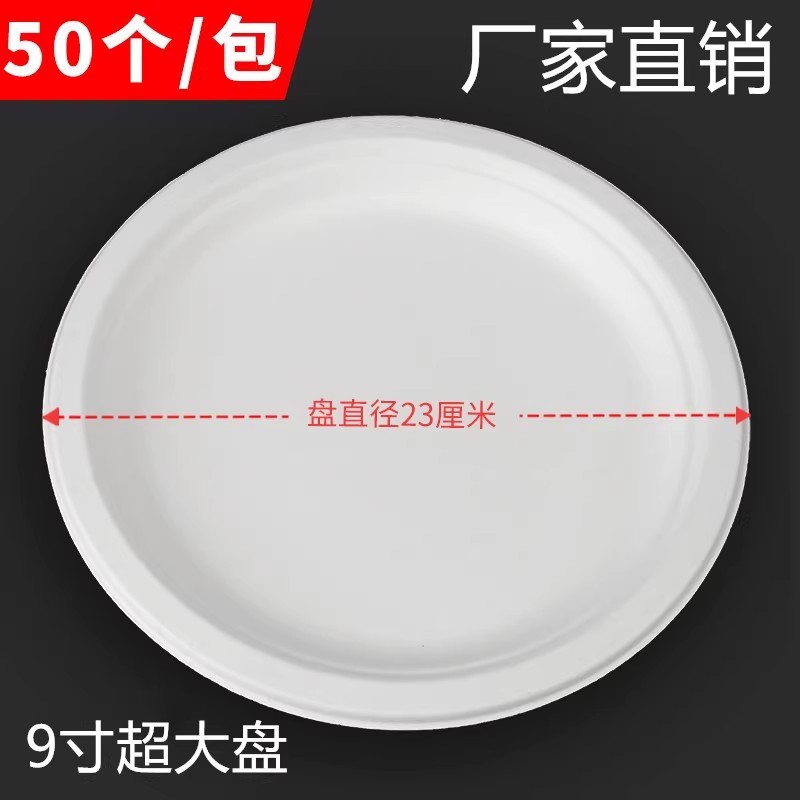 一次性盘纸白色纸盘幼儿园手工绘画圆形碟子加厚餐烧烤蛋糕盘9寸