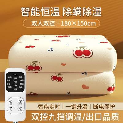 志高水暖电热毯双人水循环