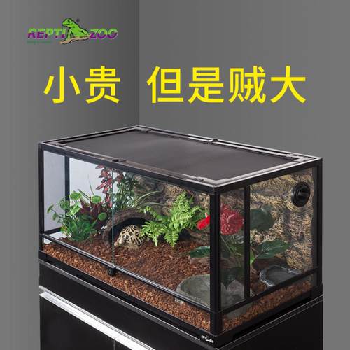 新派Reptizoo瑞皮爬宠饲养箱蜥蜴守宫陆龟蛇爬缸热带雨林缸造景缸