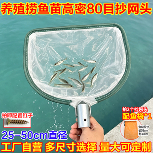 80目抄网头超细网眼养殖水产捞小鱼苗蟹苗过滤泡沫杂质捞鱼抄网头