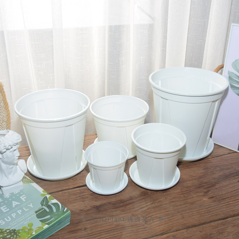 白色青山花卉绿植通用塑料简约