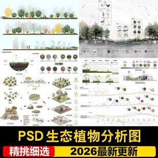 景观生态植物花草配置分析图PSD分层源文件小清新psd园林设计素材