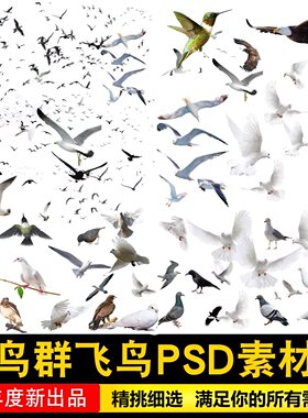 鸟类飞鸟线稿黑白剪影鸟群效果图后期鸟瞰图配景PSD免扣PS素材