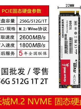 长城GW3000系列M2固态硬盘NVMe台式笔记本电脑ssd高速PCIE3.0256G
