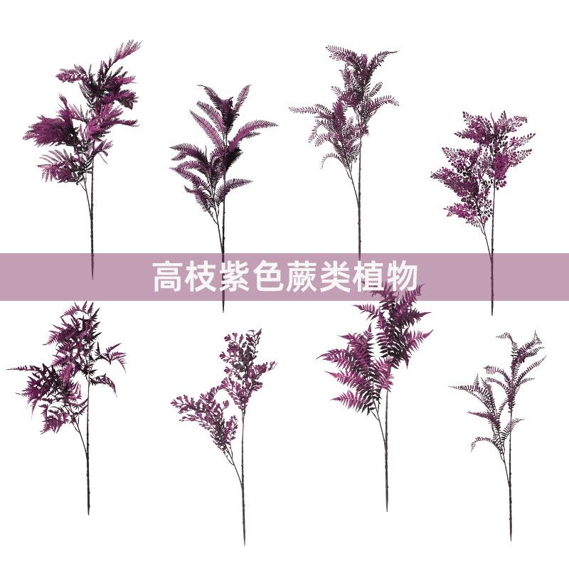 极简过胶植物室内摆件文竹草永生花仿真绿植人工背景墙面装饰挂件