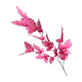 Свадебные розовые красные цветы симуляция цветочные фальшивые листья, листовый Hixton Wedding Hall Мягкая мебель