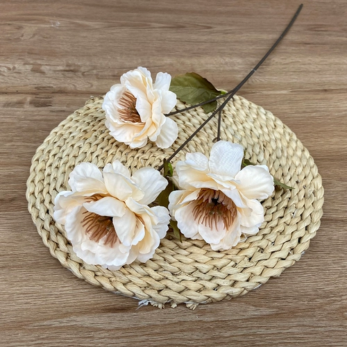 3 Gardenia Flower Simulation цветок шампанское