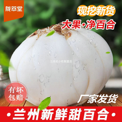 兰州鲜百合三头皇500g