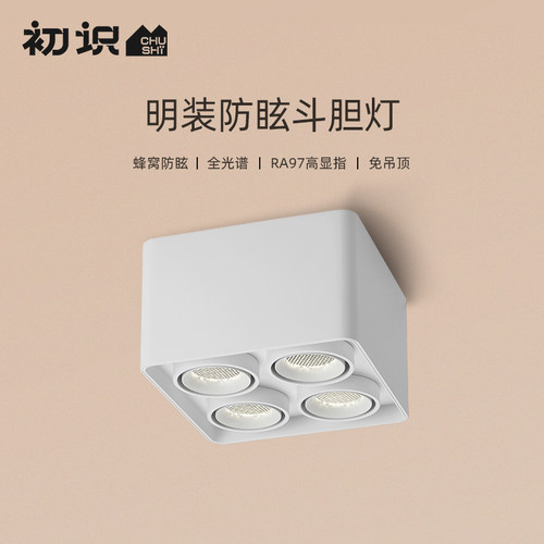 初识灯饰 明装射灯四头家用全光谱斗胆灯客厅卧室过道吸顶无主灯 - 封面