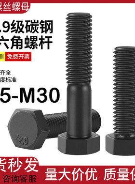 12.9级外六角半牙螺丝高强度发黑加长六角头螺栓M10-M14M16M18M30