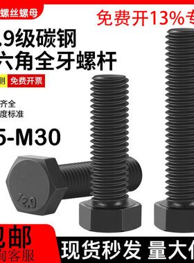 外六角全牙12.9级高强度加长螺杆