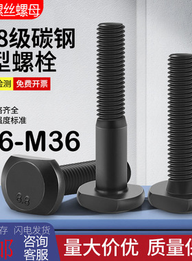 T型槽螺丝8.8级发黑t形螺杆高强度压板螺栓 M6M8M10M12M14M16-M36
