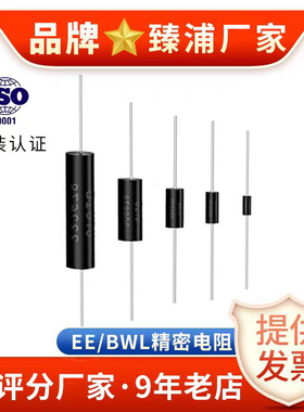 BWL高精密无感精度0.1％采样电阻5W3W10W0.01R0.02R0.05R0.1R毫欧