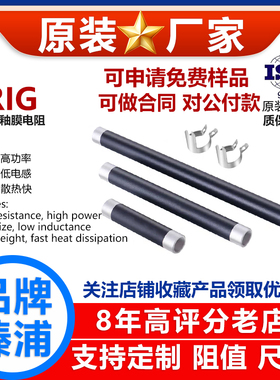 RIG厚膜釉膜陶瓷高频无感大功率负载电阻器25W50W200W300W500W 欧