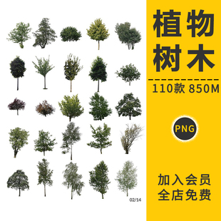 植物树木大树绿色花草园林景观鸟瞰图效果后期PNG免抠PSD设计素材