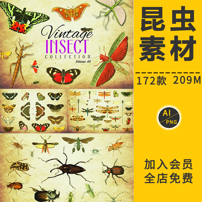 欧式复古昆虫蝴蝶蜻蜓飞蛾甲壳虫插画AI矢量图片PNG免抠设计素材