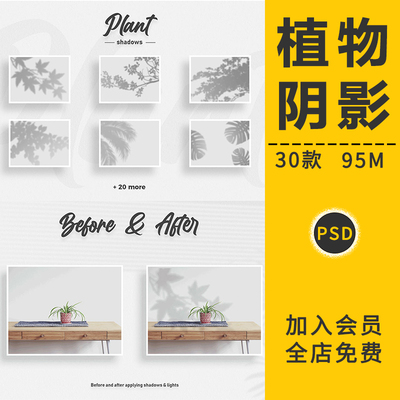 创意花卉植物叶子剪影阴影影子光影阳光形状装饰元素PSD模板素材