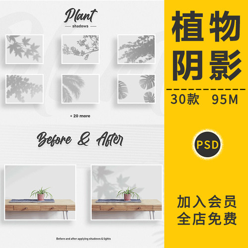 创意花卉植物叶子剪影阴影影子光影阳光形状装饰元素PSD模板素材 - 封面