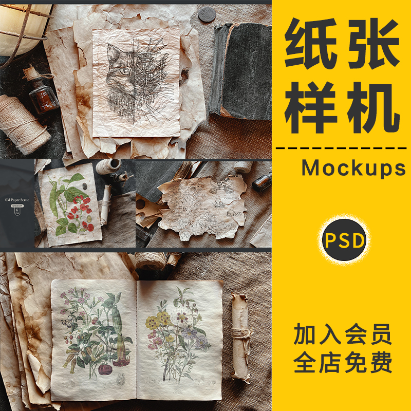复古做旧羊皮纸褶皱污渍撕裂废纸旧书古老纸张书籍样机设计PS素材
