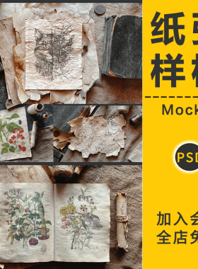 复古做旧羊皮纸褶皱污渍撕裂废纸旧书古老纸张书籍样机设计PS素材