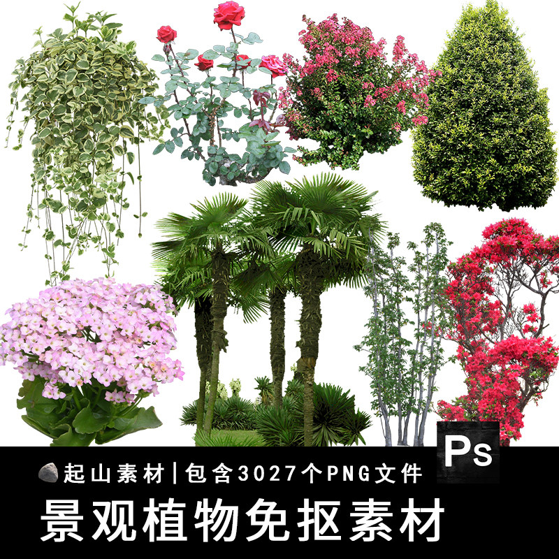 园林景观植物png免抠图绿色树木立面树乔木建筑效果图ps设计素材