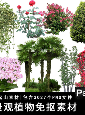 园林景观植物PNG免抠图绿色树木立面树乔木建筑效果图PS设计素材