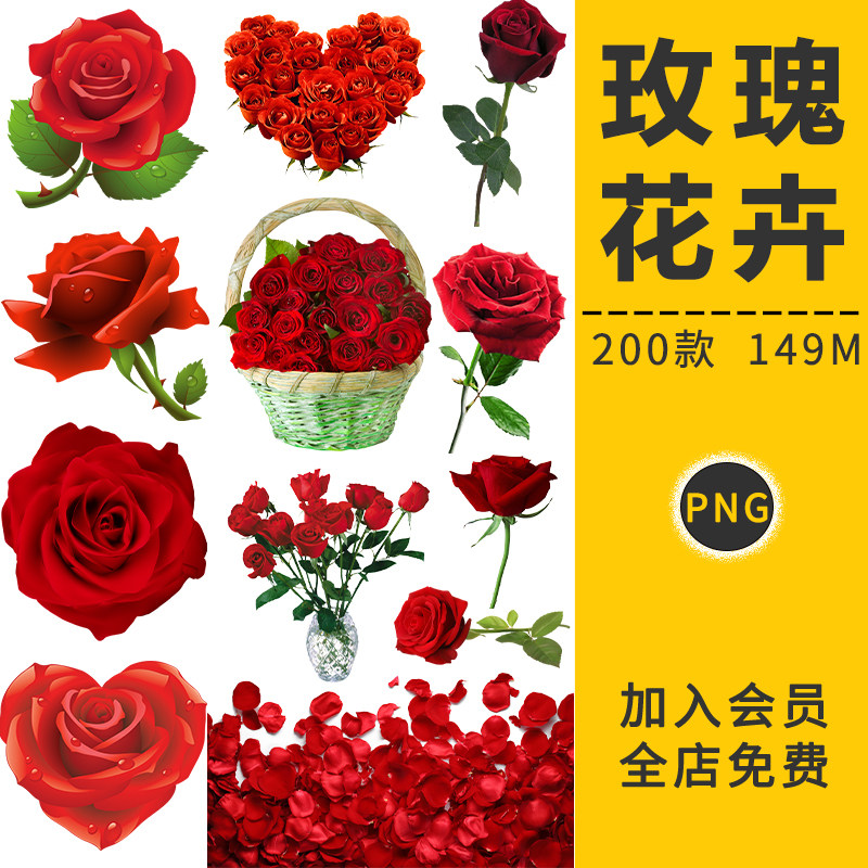 玫瑰花瓣鲜花卉单枝支花朵篮瓣手绘婚礼纱情人节png免抠后期素材