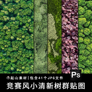 2023竞赛风平面鸟瞰树群树丛植物彩平草丛灌木绿植灌木贴图PS素材