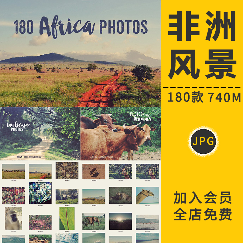 高清非洲自然风景动植物人文岛国马达加斯加旅游森林海滩图片素材