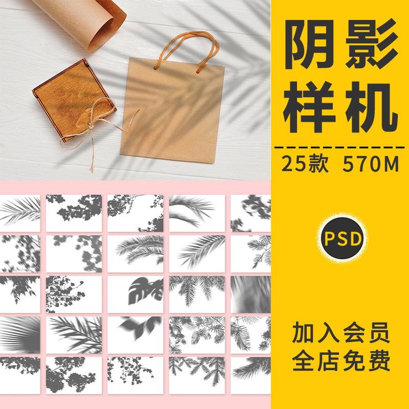 自然植物花卉墙面阴影光影背景效果图片VI贴图样机叠加PS设计素材