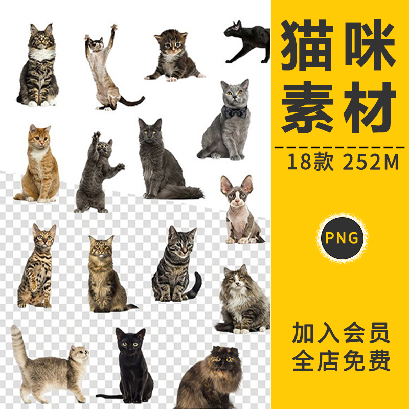 高清可爱蒙宠物猫猫咪动物PNG免抠图片摄影楼海报手账设计PS素材