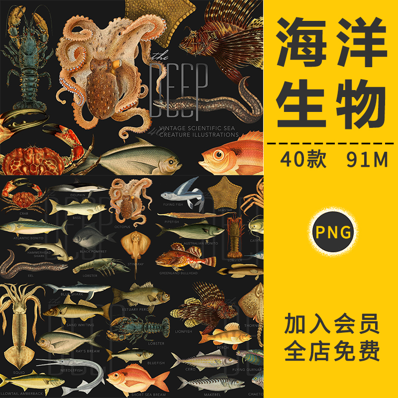 手绘深海复古海洋生物鱼虾螃蟹类动物图案装饰海报PNG免抠图素材