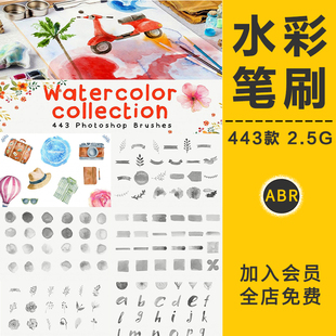 水彩笔刷手绘插画水墨淡彩晕染形状数字母植物花卉墨迹PS设计素材