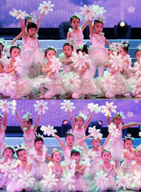 女童幼儿舞蹈雪宝宝舞蹈纱裙