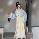 唐制汉服女冬 加绒法门寺披袄齐胸破裙对襟衫 春璃原创 昭昭如愿