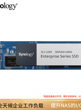 群晖（Synology） NAS专用M.2接口(NVMe协议) SNV5420-1600G