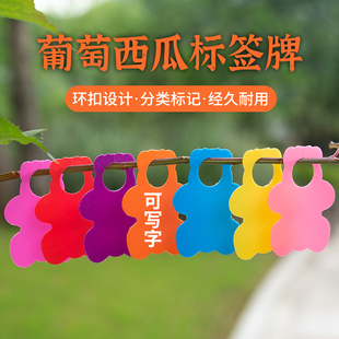 新款彩色葡萄西瓜标签牌扣设计分类标记可写字耐用园艺标签记号牌