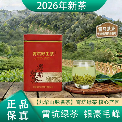 2026新茶池州霄坑茶叶霄坑毛峰
