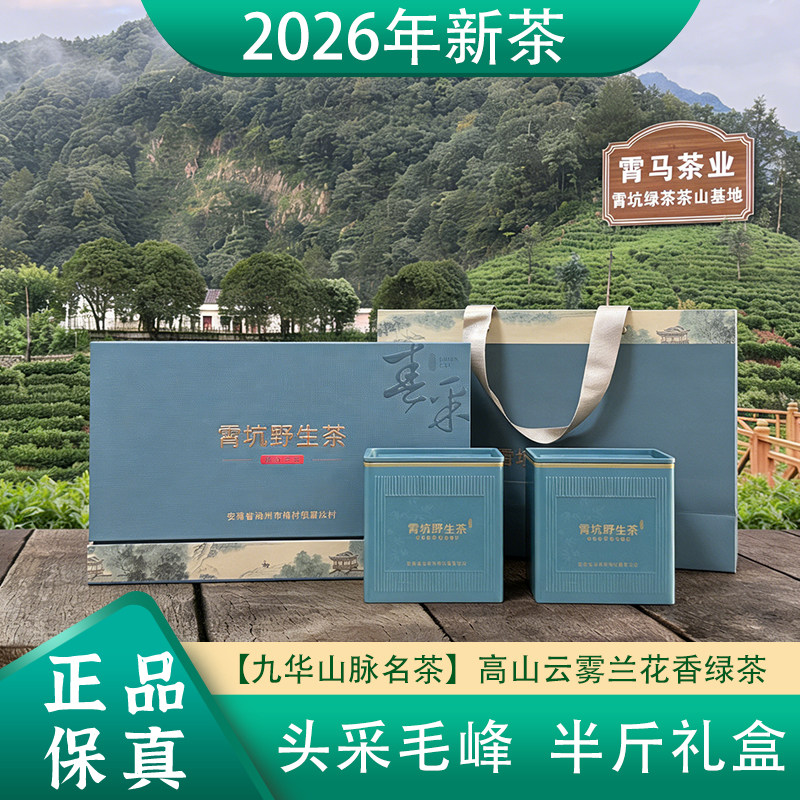 2026新茶安徽绿茶池州霄坑茶特色产区绿茶