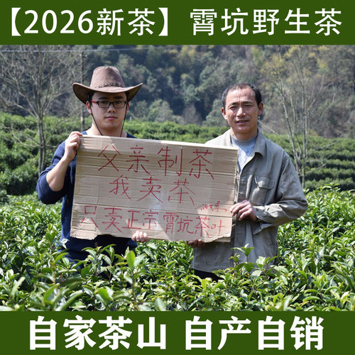 2026新茶霄坑茶叶霄坑野生茶