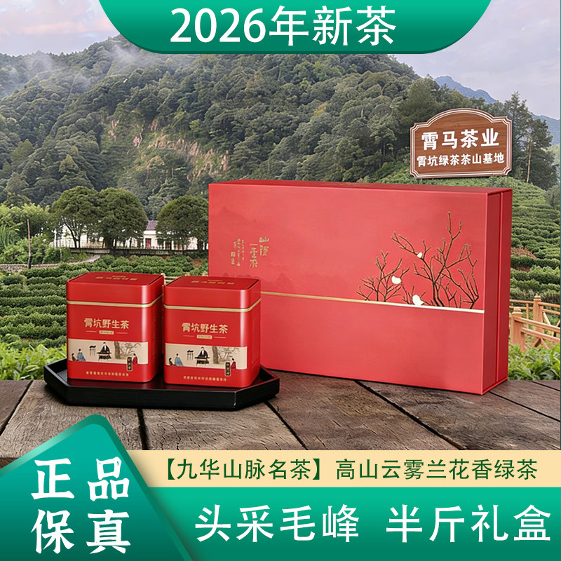 2026新茶安徽绿茶池州霄坑茶叶霄坑野生茶高山绿茶头采毛峰礼盒装