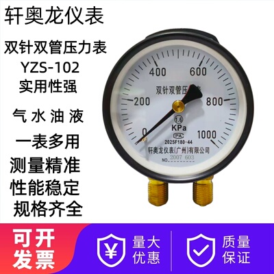YZS102双针双管压力表铁路船用表