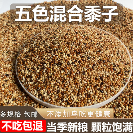 五色黍子虎皮牡丹玄凤中小型鹦鹉鸟食饲料鹦鹉混合粮谷子带壳鸟粮