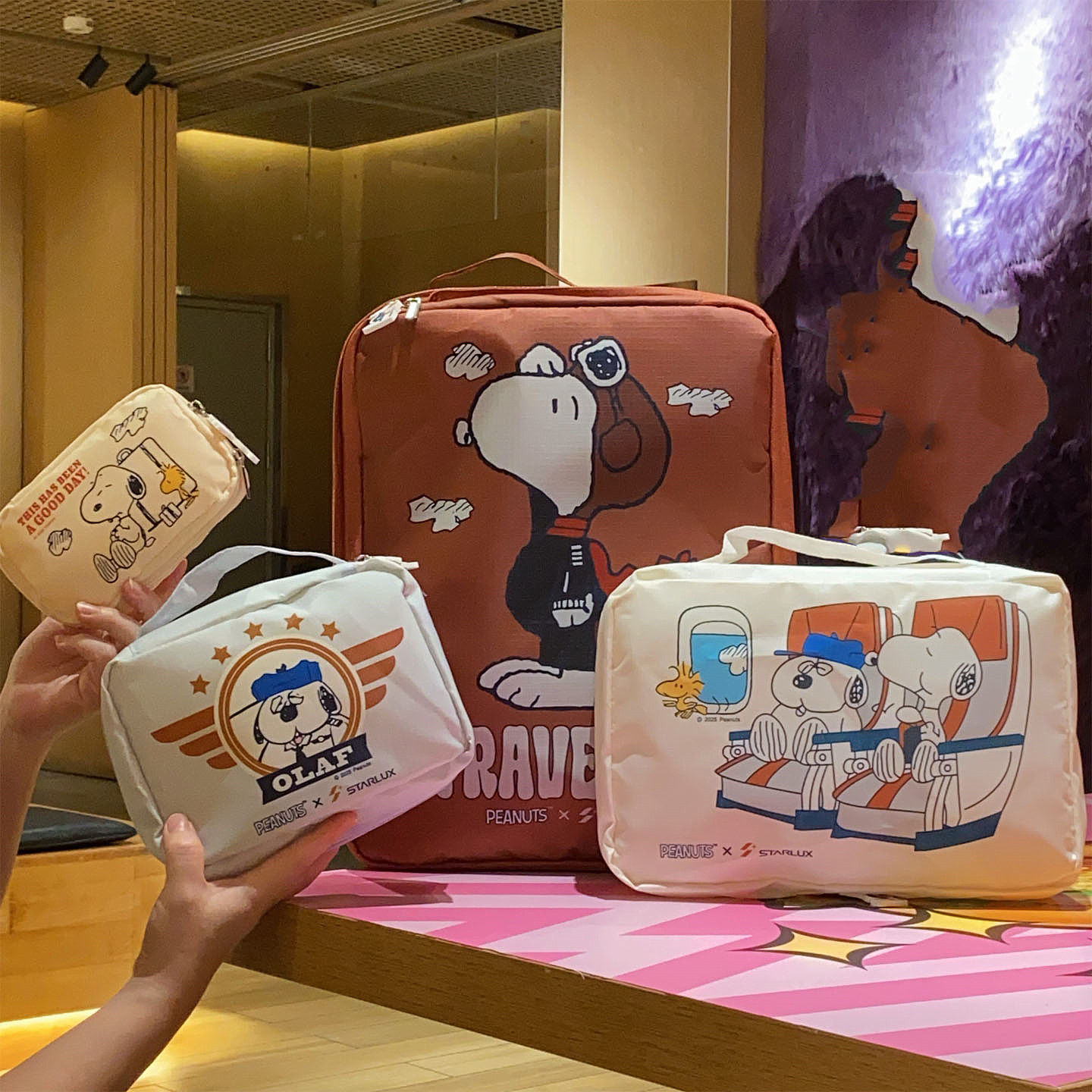 日系卡通可爱狗狗收纳袋四件套化妆包耳机包行李箱衣物分装整理袋