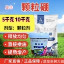 可底肥追肥新型肥料 果树蔬菜提高坐果 奥丰桶装 颗粒硼肥5kg撒施