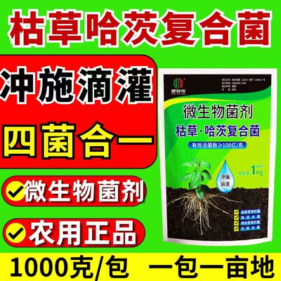 枯草芽孢杆菌活菌数生根改土