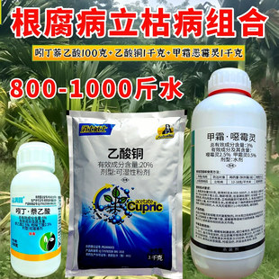 槟榔果树农作物根部病害立枯病根腐病土传病害蔬菜农用正品杀菌剂