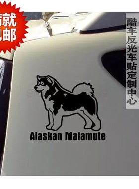 阿拉斯加雪橇犬 Alaskan Malamute 汽车贴纸 宠物车贴 防水贴