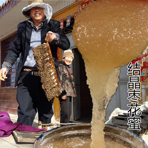 质忠蜂蜜临泽枣花蜜蜂蜜纯天然农家自产原蜜无添加易结晶pk土蜂蜜