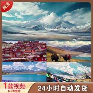 藏族舞次仁拉索西雪山布达拉宫经幡牦牛藏族风情4K高清视频素材